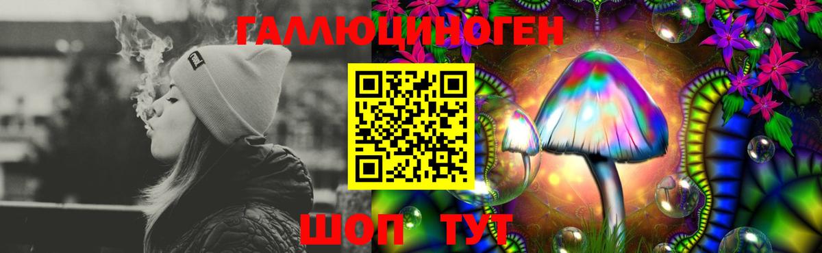 Псилоцибиновые грибы Cubensis  Вход с VPN  Ефремов 